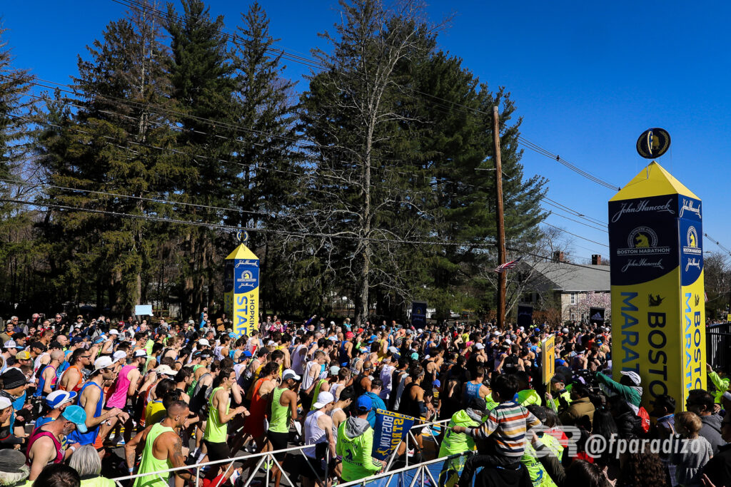 Maratona Mongo e Drongo 2019 - 2 horas de vídeos de 2019